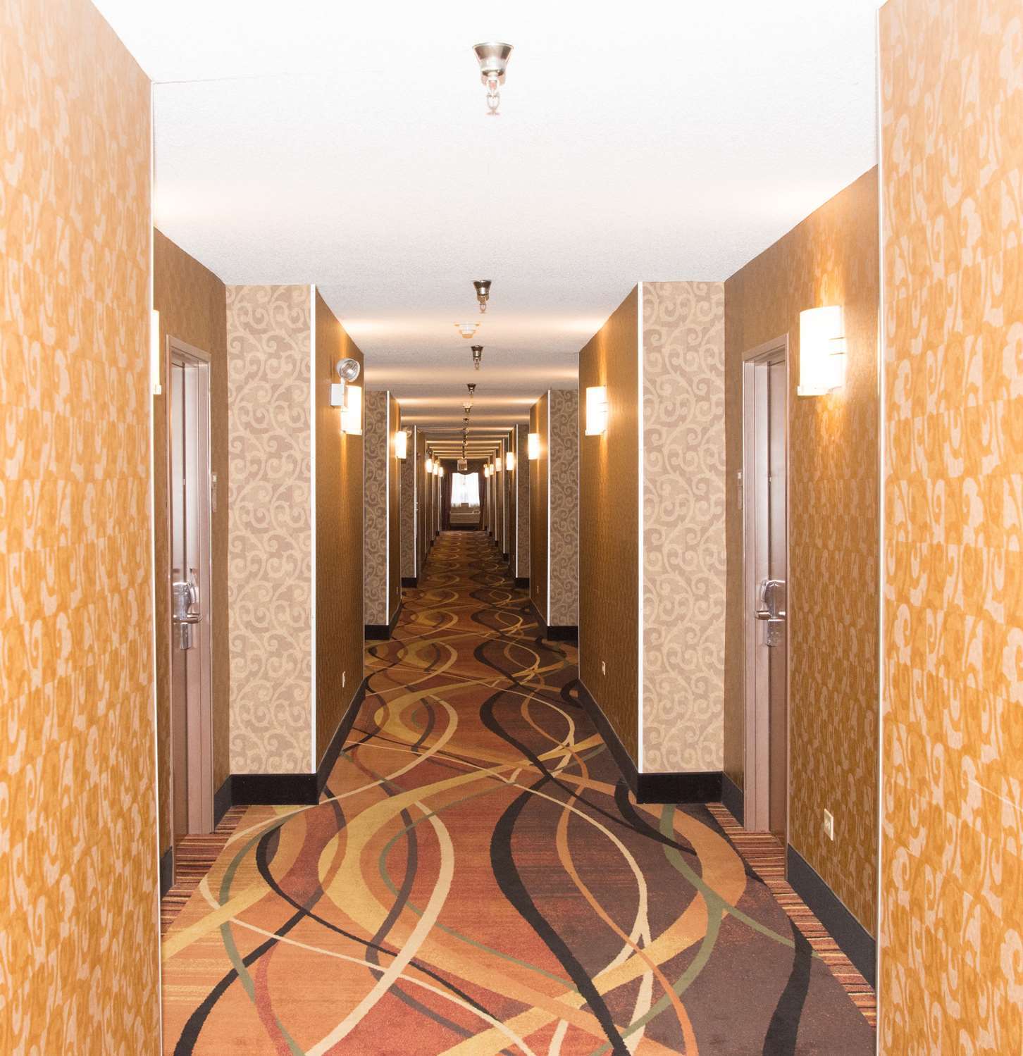 Best Western Des Plaines O'Hare Buitenkant foto